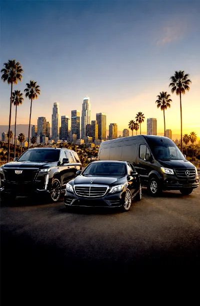 la financial roadshows
